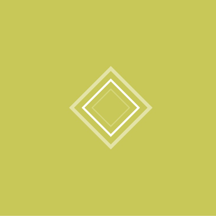 WEB разработка pH Plex